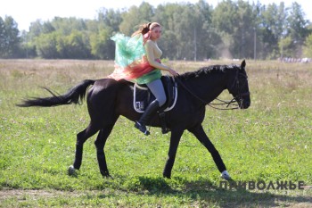 Фантомную площадку по содержанию лошадей в МКД выявили в Мордовии
